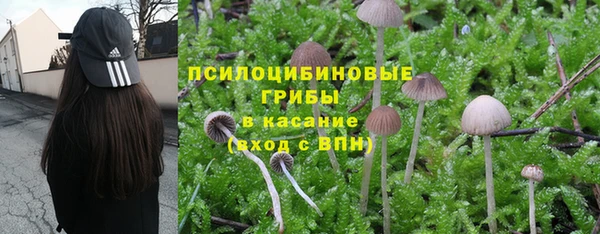 первитин Горно-Алтайск