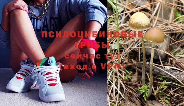 спиды Горнозаводск