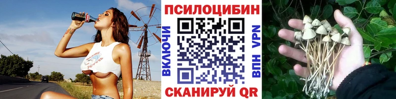 МЕГА ТОР  Разумное  Псилоцибиновые грибы Cubensis 